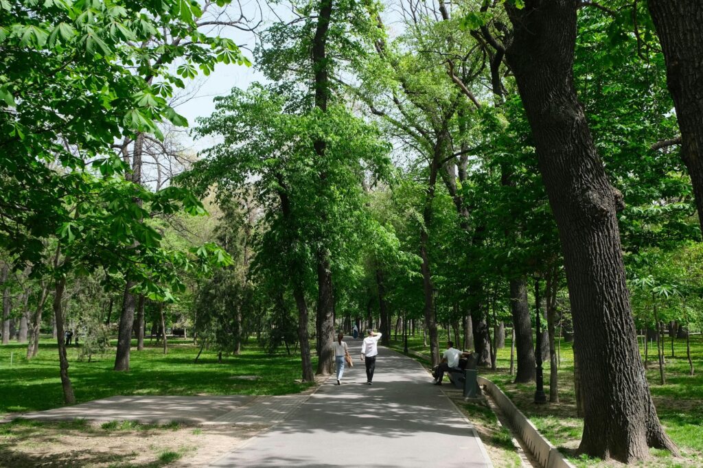 What Walkable Cities Can Teach Us About Customer and Employee Experience