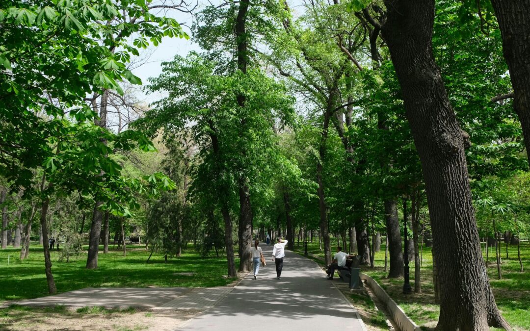 What Walkable Cities Can Teach Us About Customer and Employee Experience